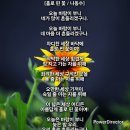 숯/홀로 핀 꽃 이미지