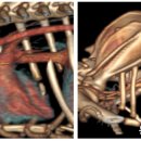 동원동물병원 이미지