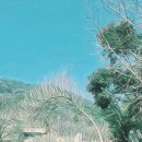 솔밭정 이미지