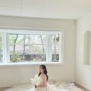 마로니에 | W13-1. 더에이미 촬영드레스 후기(마로니에)