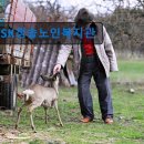 SK청솔노인복지관 | 경기도 노인복지센터 실버타운 요양원 정보 추천 SK청솔노인복지관 노인복지 전문 서비스