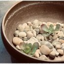 굿샷골프아카데미 이미지