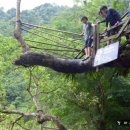 블루라군 이미지