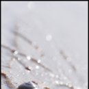 바람아래해수욕장 이미지