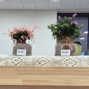 윤희공방 이미지