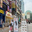 로그트윈스 | 서현 김밥 153구포국수 가성비 국수 키토김밥 메뉴 솔직 후기