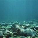 홍조바다 이미지