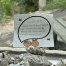 슛팅유어하트 | 제주는 몇 번을 가도 좋제주…