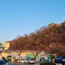 축산물명품관 이미지