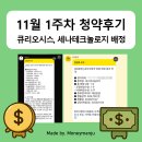 신영엔지니어링 | 11월 1주차 공모주 청약 후기(ft. 큐리오시스, 세나)