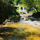 강릉외갓집 이미지