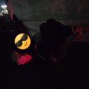 마마댄스동아리 | 5월 일을 제가 어 떻 게 기억하냐고요