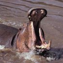 안하마을 이미지