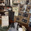 남원농업협동조합 | 분위기 좋은 서귀포 남원 카페 중에서 제주감귤체험이 가능한 내노키카페