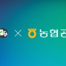 싱싱공판장