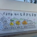 간현로 | 원주 소금빵 맛집 ‘소금산 소금빵’ 포장 후기