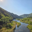 하천2 | 충북영동 월류봉둘레길 2코스(산새소리길)
