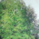 달성군청로 이미지