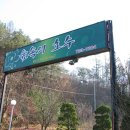 숲속의호수 이미지