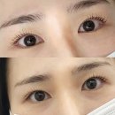 수브(SOOVE) | 마포속눈썹 / 수브스튜디오 / 연남동 속눈썹 재방문 솔직후기