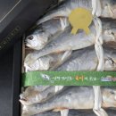 성광수산