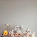 호시루 | 남양주 다산 호시루 백일떡 맞춤/ 셀프 백일상 대여 마메테이블 후기