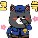 자연드림 사우나 이미지