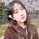 전유진 카카오 검색결과