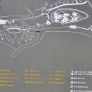 완도항구