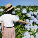 안성리-6 이미지