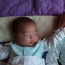 차오름농장 이미지