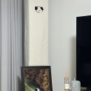 진레스카페 | [13.스튜디오 촬영] 레스스튜디오 앨범 및 액자 수령 후기