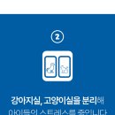 동물보육원 이미지