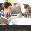 한강동물병원 이미지