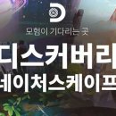 디스커버리네이처스케이프 네이버블로그