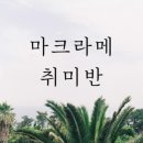 봄의손메