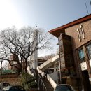 수원-1906 이미지