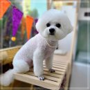 경기도 수원시 권선구 세지로82번길 3 (권선동) 이미지