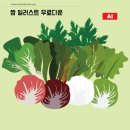 상추의 성분과 효능, 상추 섭취 시 유의 사항 및 상추 요리법 이미지