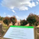 동선2목장 이미지