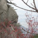 성민약초 | 서울 4대의 명산 수락산 추억