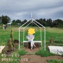 지은목장 | 제주 한림읍 여행 성이시돌 목장, 카페 메뉴 맛 가격 이용방법