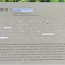 포충로 이미지