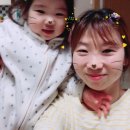 주식회사 세광 네이버블로그