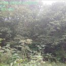 답풍리 마을회관 이미지