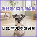 펫어디가 | 경산 강아지 장례식장 어디가 좋을까? 경산 애견 장례 비용, 후기, 추천 시설까지 완벽 정리.