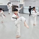 무림태권도장 이미지