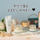 코코린느