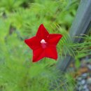 오늘하루가 이미지