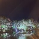 비단길투어 | 🌙✨ 경주 야경에 반하다! 동궁과 월지 & 월정교 야경 투어 🚗 주차 꿀팁부터 황리단길 막걸리·찜닭 후기까지